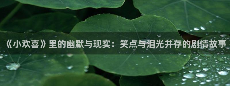 亚洲超碰97人人做人人爱：《小欢喜》里的幽默与现实：笑点与泪光并存的剧情故事