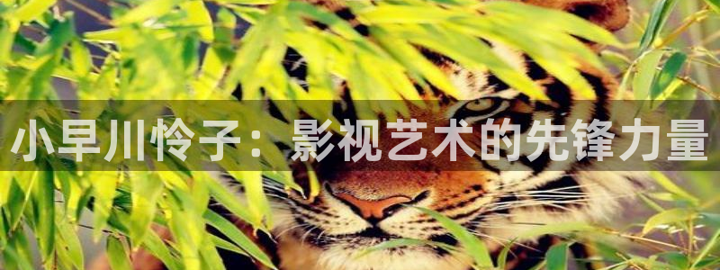 人人影院艳史：小早川怜子：影视艺术的先锋力量