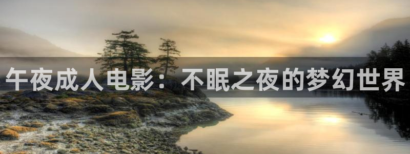 久久人人高清：午夜成人电影：不眠之夜的梦幻世界