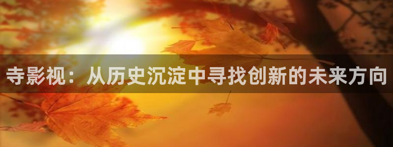 私人人影院：寺影视：从历史沉淀中寻找创新的未来方向
