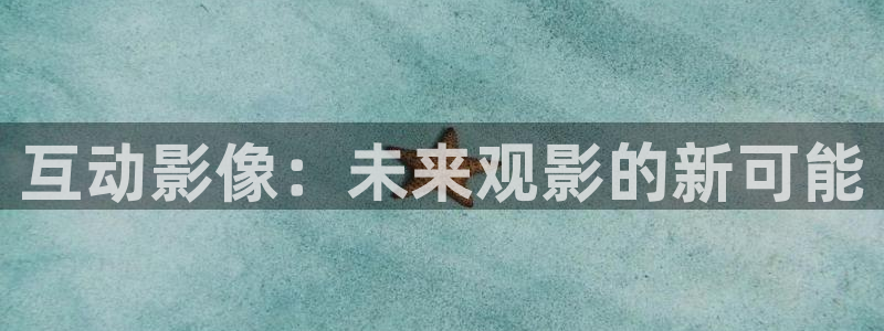 甄执  人人影视：互动影像：未来观影的新可能