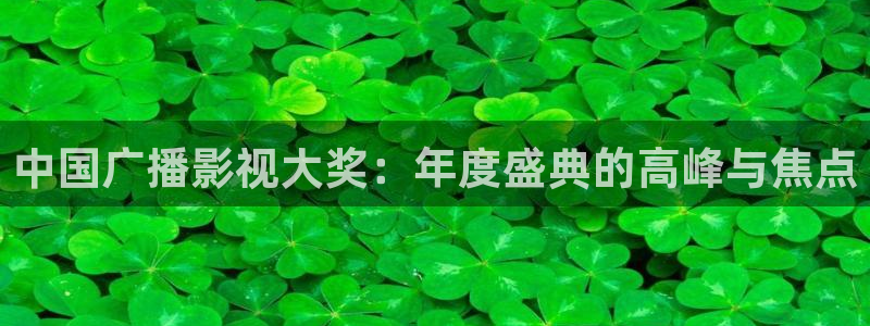 人人电影大全：中国广播影视大奖：年度盛典的高峰与焦点