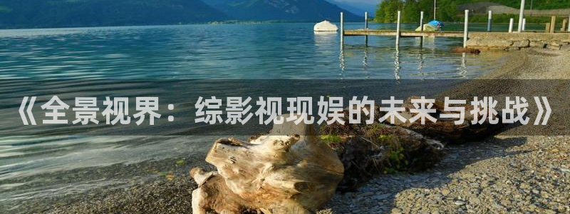 caoporen超碰人人97：《全景视界：综影视现娱的未来与挑战》
